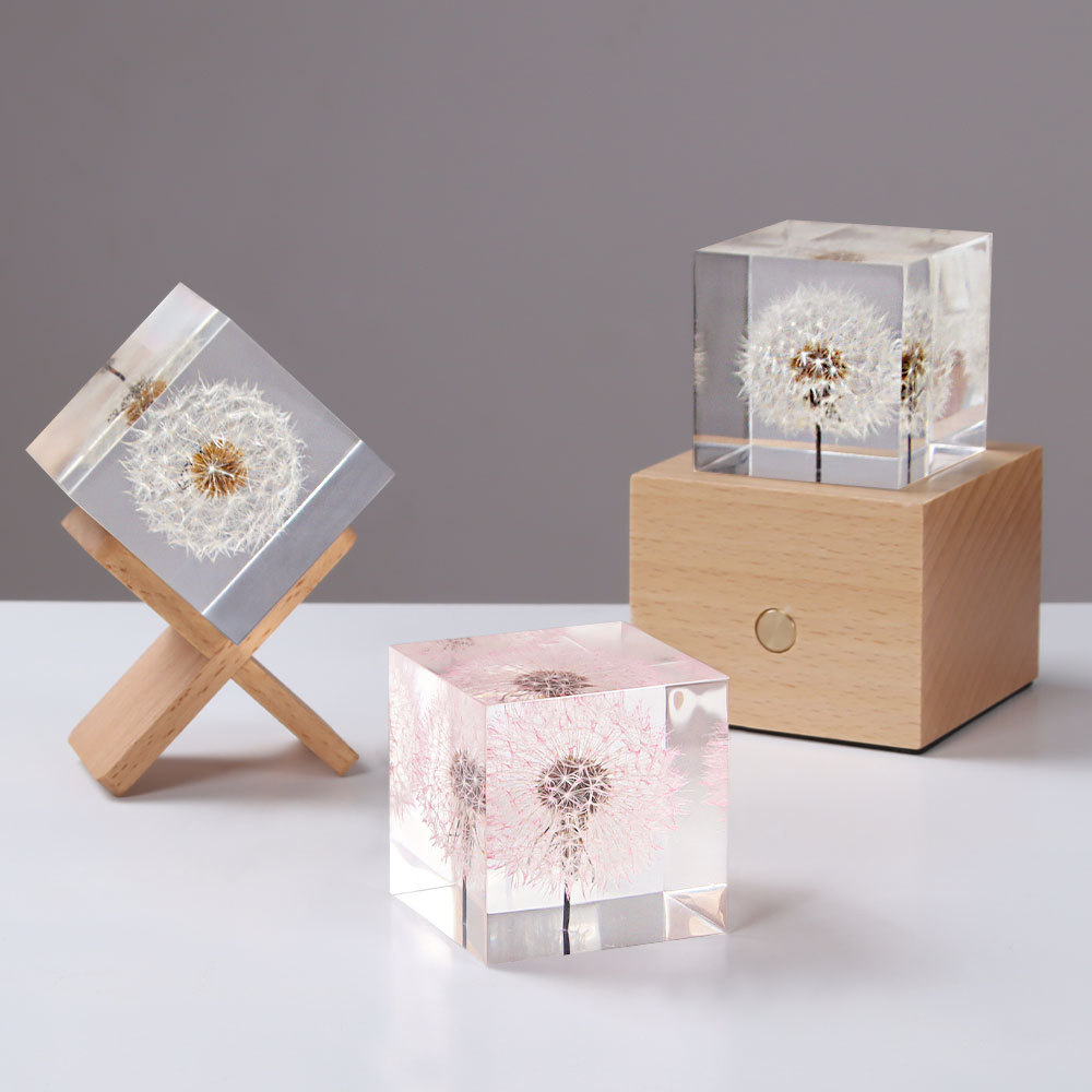 Flower Preservation Resin - Diente de león preservado flores frescas