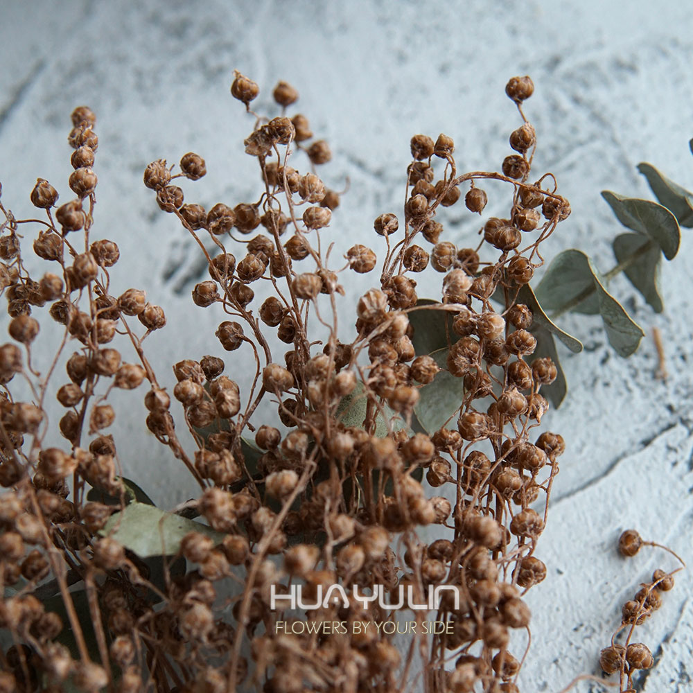 Flower Preservation Resin - Flores reales, Mini flor preservada de