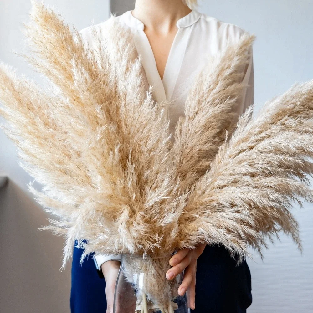 Dried Flower Bulk - Hierba de Pampa grande esponjosa de