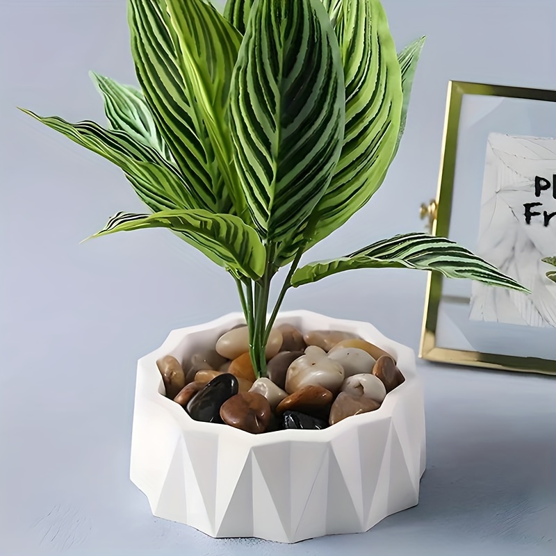 1/2 Moldes de Silicona Grandes - Resin Craft Ideas reseña y precio
