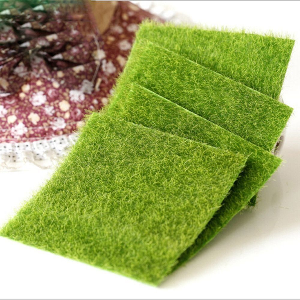 Decoración Ecológica para Jard - Terrarium Moss Art reseña y precio