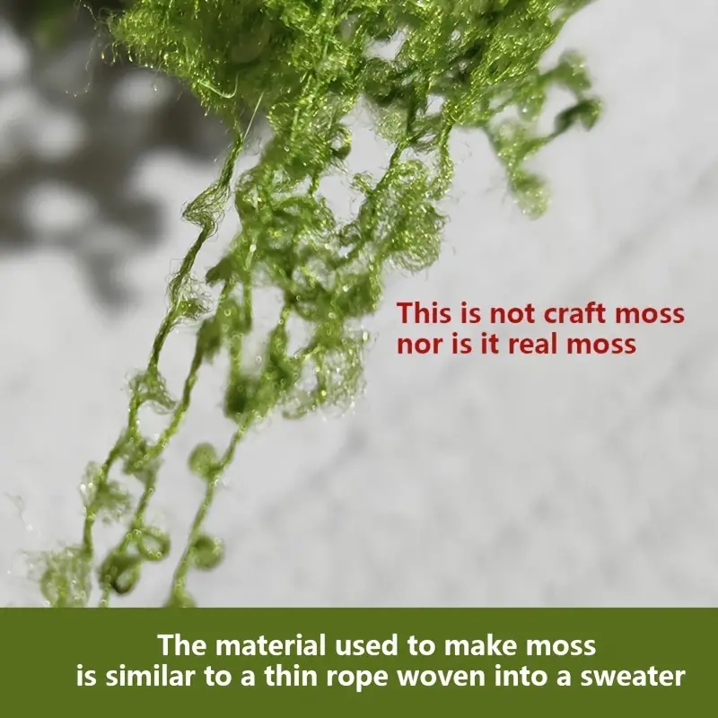 Aproximadamente 20g de plantas - Terrarium Moss Art reseña y precio