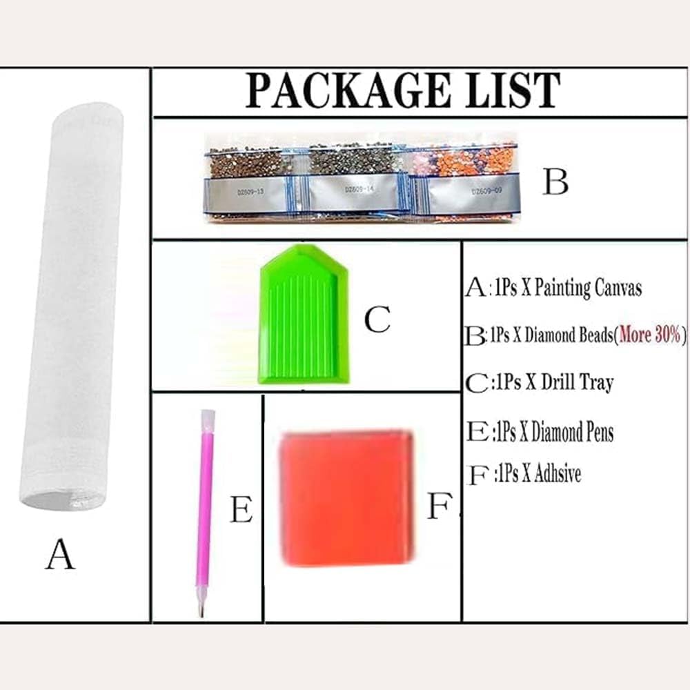 Kits de Pintura de Diamantes c - Resin Craft Kit reseña y precio
