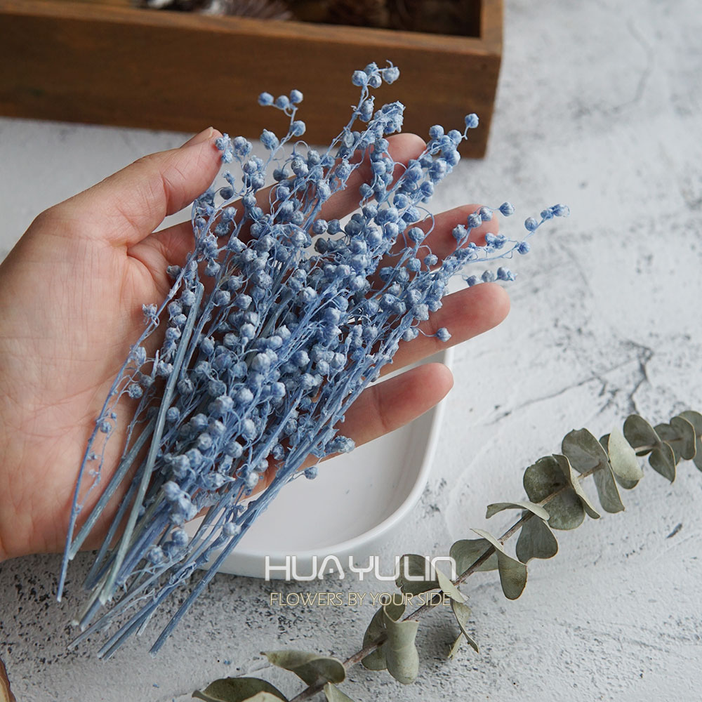 Flores reales, Mini flor prese - Flower Preservation Resin reseña y precio