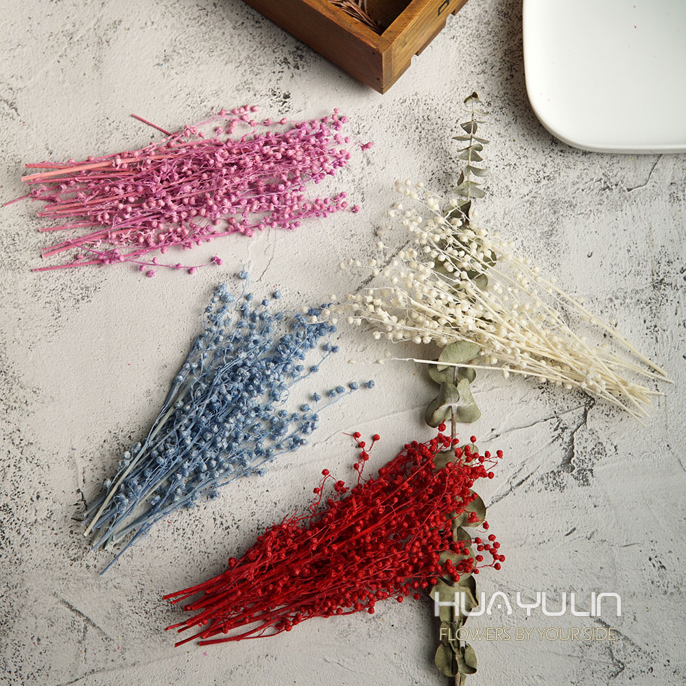 Flores reales, Mini flor prese - Flower Preservation Resin reseña y precio