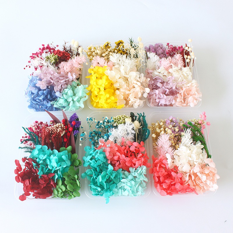 Kit de Flores Preservadas para - Flower Preservation Resin reseña y precio