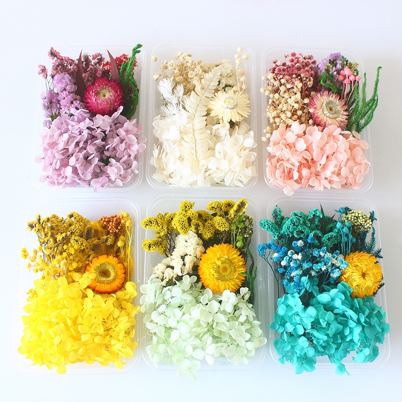 Kit de Flores Preservadas para - Flower Preservation Resin reseña y precio