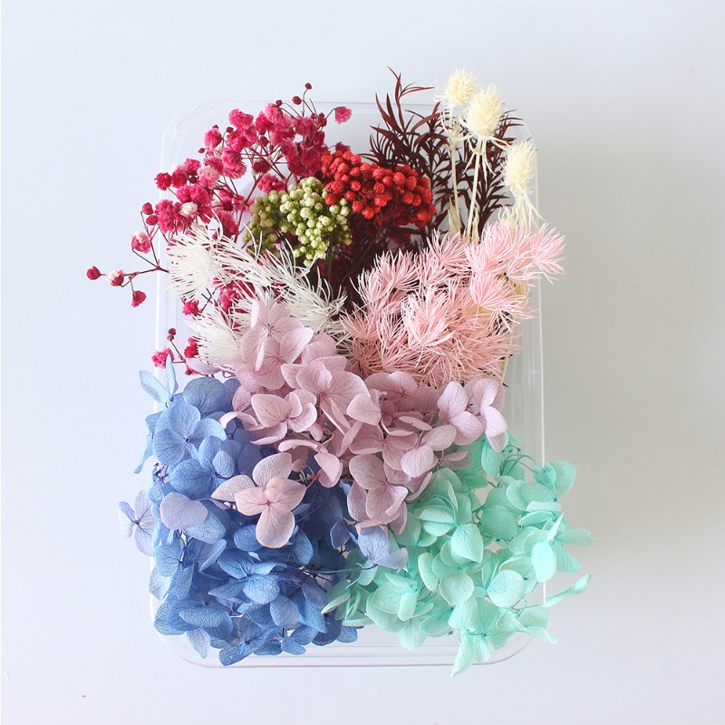 Kit de Flores Preservadas para - Flower Preservation Resin reseña y precio