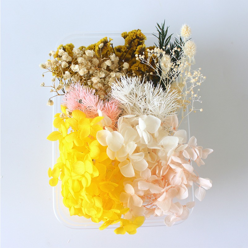 Kit de Flores Preservadas para - Flower Preservation Resin reseña y precio