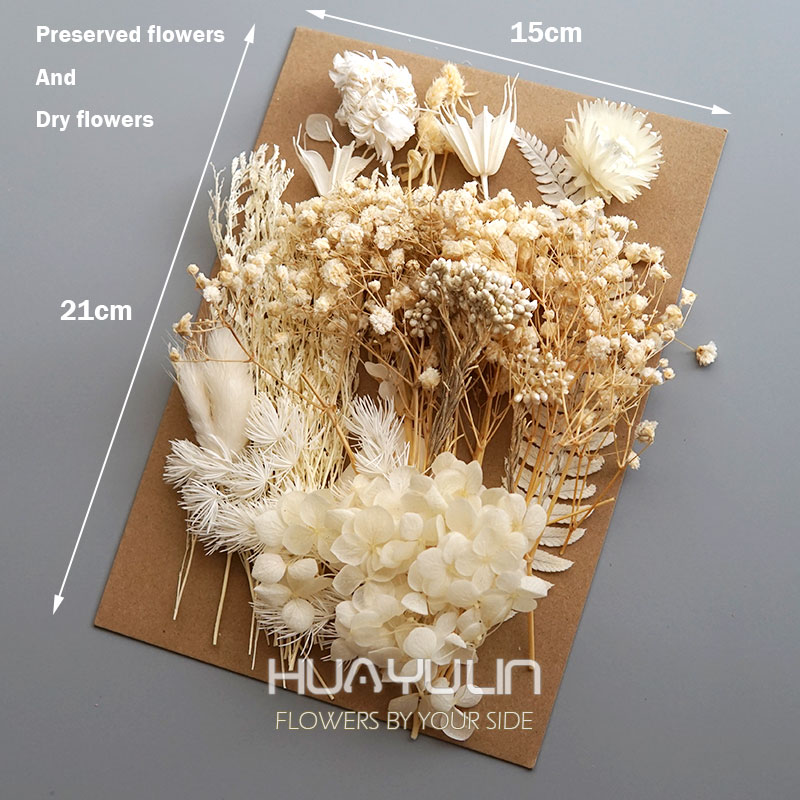 1 paquete de plantas artificia - Dried Flower Bulk reseña y precio