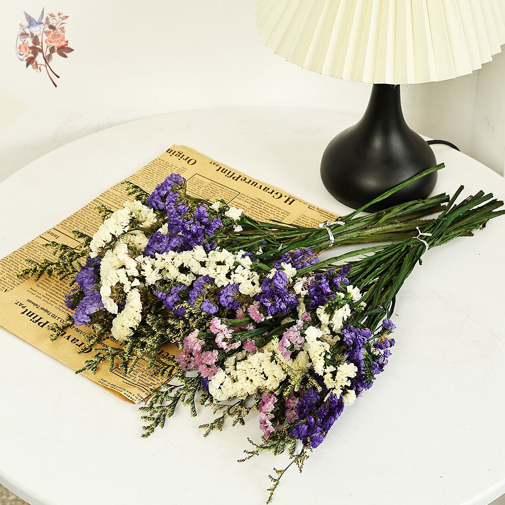 Ramo de flores Natural Real de - Dried Flower Bulk reseña y precio